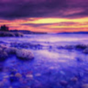 Meet your Posher, Tandy